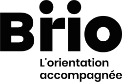 Logo-BRIO-noir-250x169
